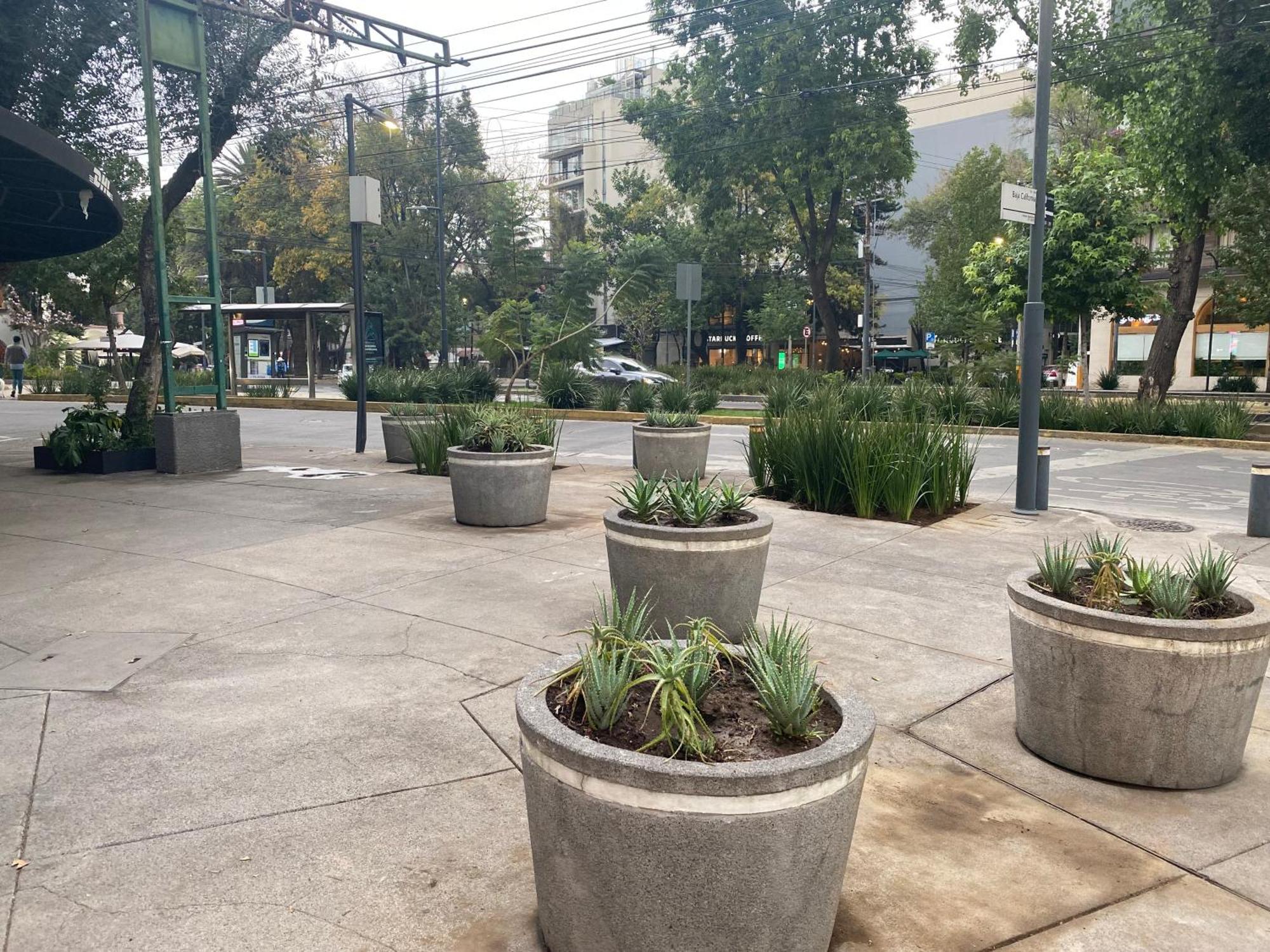 Casa Corp Boutique Suites In Condesa 멕시코 시 외부 사진